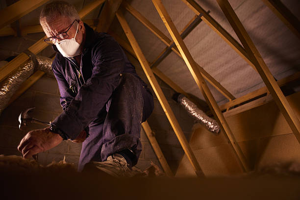 Best Insulation Maintenance and Repair in Walker, MI